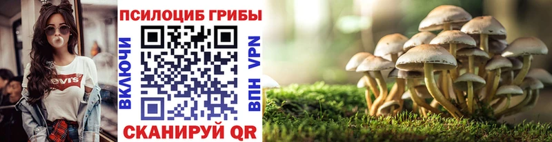 Купить где  Ардатов  Галлюциногенные грибы MAGIC MUSHROOMS 